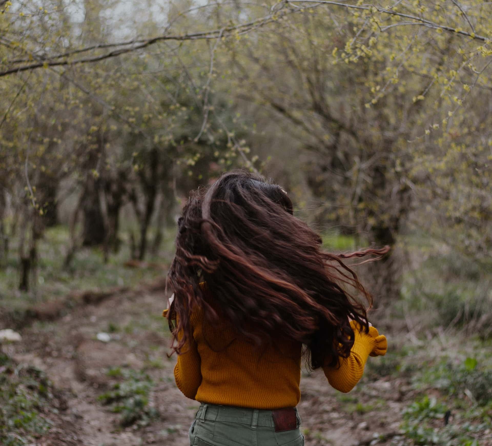 Best Dandruff Shampoo for Locs
